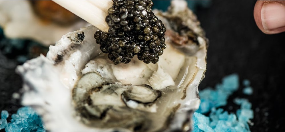 Ostras y carta gourmet en Cala Basa Beach Club