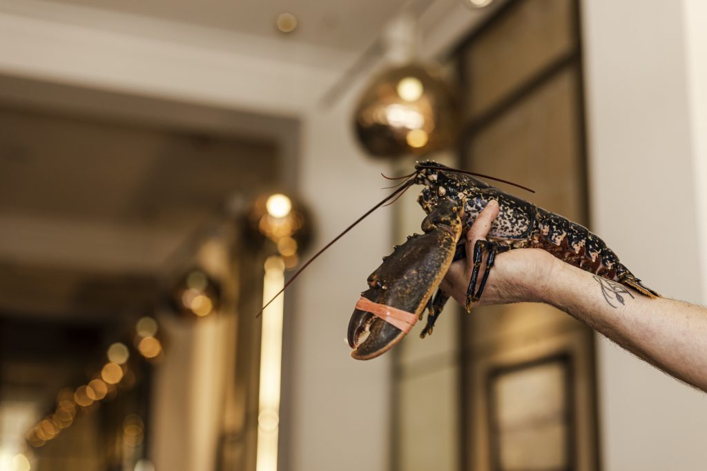 Bogavante Ebusus Restaurant