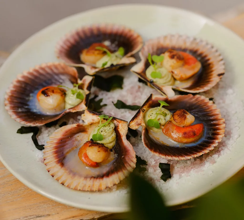 CBBC Ebusus-plato de marisco